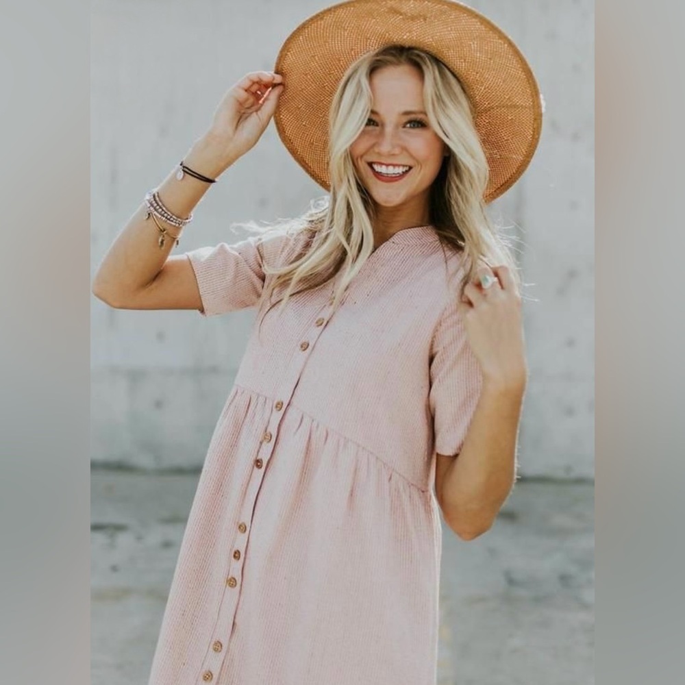 Roolee pink w/ brown stripes button down dress